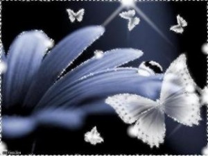 www.pokoloruj.swiatl-niebieski_kwiat_bialy_motyl.jpg