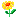 kwiatuszek (1)