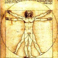 Vitruvian Man - Leonardo Da Vinci Stock Image